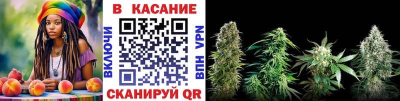 Где купить наркоту Шахунья Кетамин  Alpha-PVP  МАРИХУАНА  ГАШ  COCAIN 