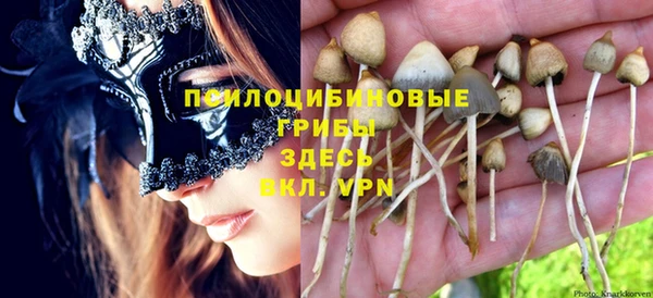 бутират Баксан