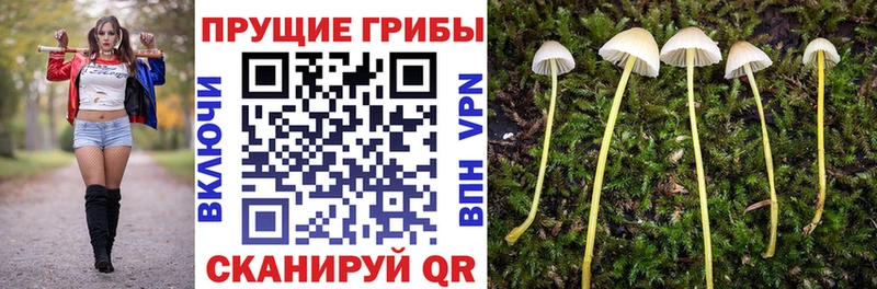 наркота Шахунья Галлюциногенные грибы Magic Shrooms